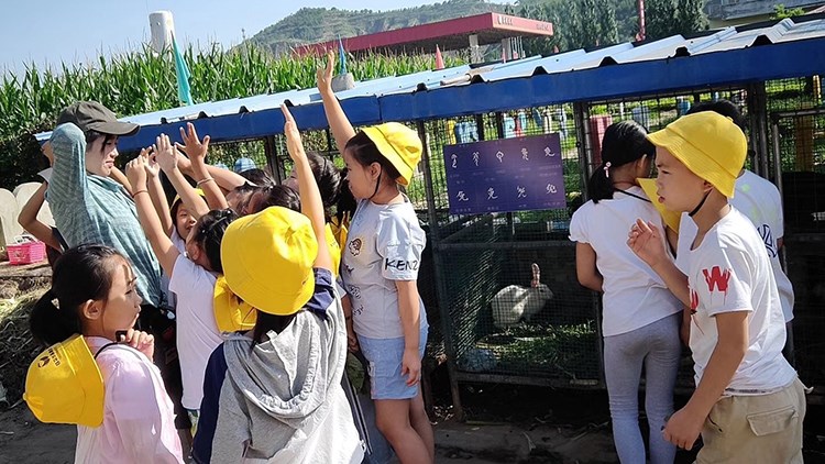 幼兒園秋冬帽子定做日本小朋友小學(xué)生安全小黃帽兒童漁夫帽定制男(圖1)