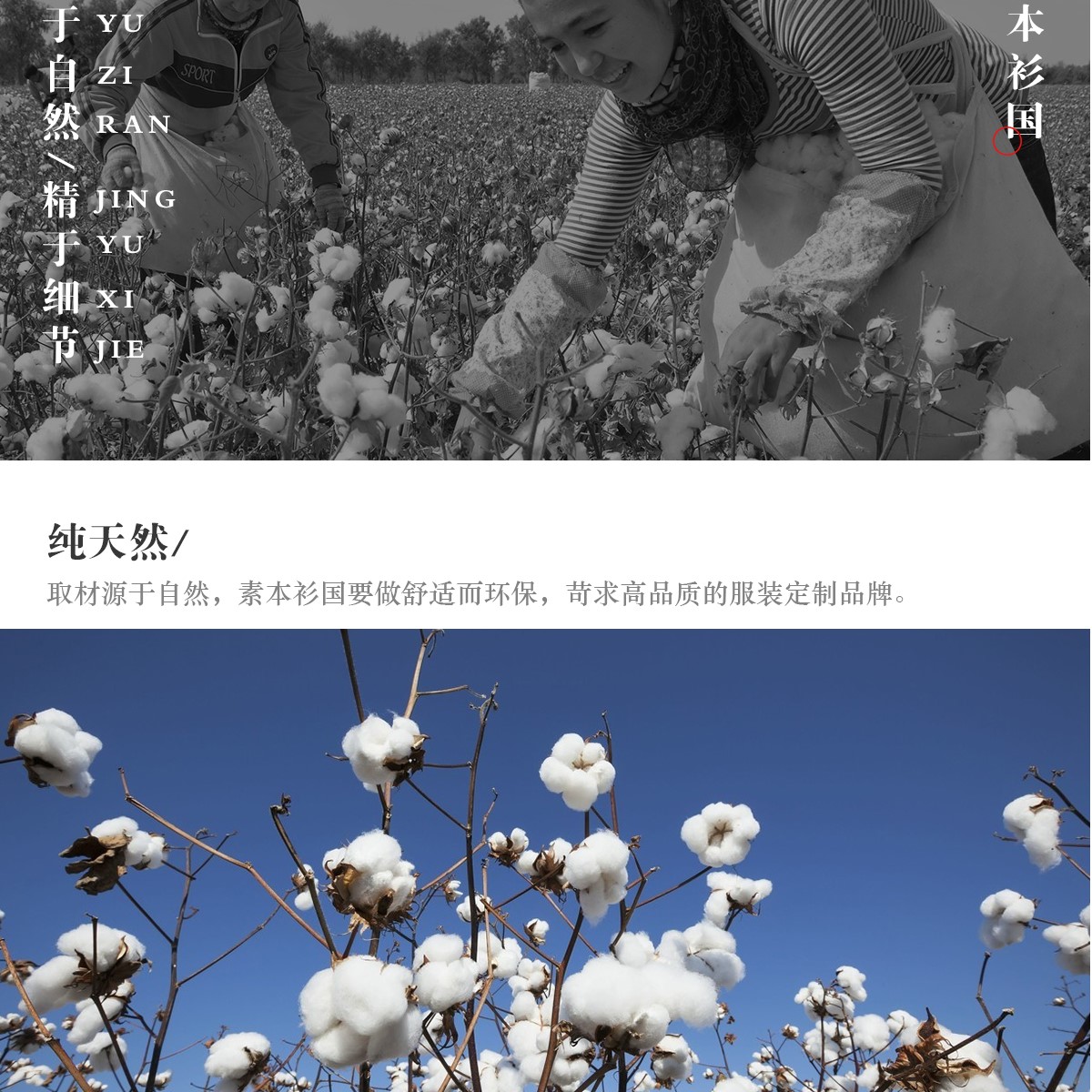 定制t恤工作服文化廣告衫印字logo定做短袖班服diy圖同學(xué)聚會(huì )衣服(圖36)